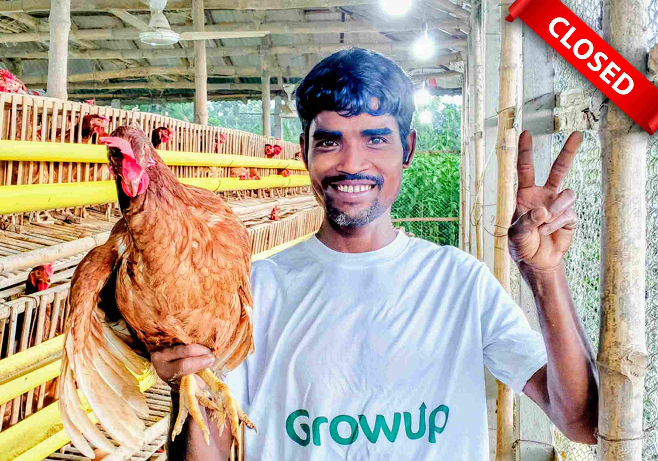 Chicken Farm-3